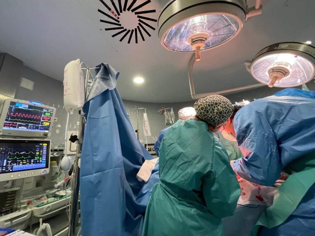 245847341_336424568282654_7938248731729880079_n